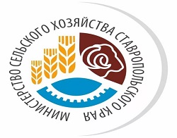 О реализации на территории Ставропольского края проекта &quot;АГРАРНАЯ ЛИГА&quot;