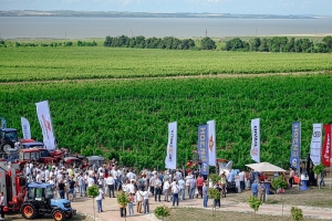 Всероссийский День Поля для виноградарей пройдет в поместье Голубицком