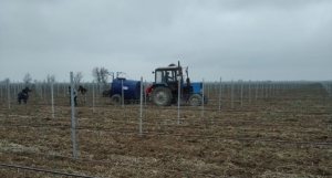 Виноградарские предприятия начали сезон осенне-полевых работ