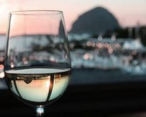 Аргентина теснит Европу на российском рынке винной продукции: В Москве пройдет первый Дегустационный салон вин Аргентины