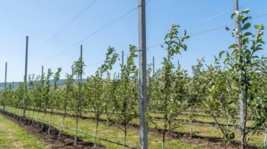 Продолжается отбор получателей субсидии на специализированную технику для питомников и ягодных насаждений!