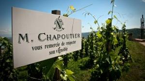 Правила виноделов: Chapoutier