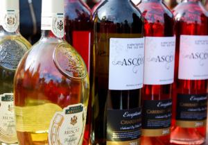 Молдавское вино просачивается в Россию через Абхазию