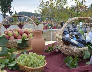 23 сентября в городе Михайловске состоялось празднование дня урожая.