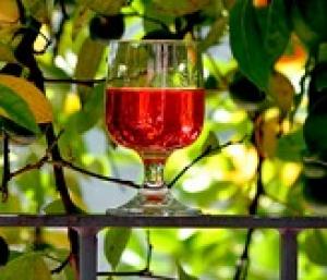 Французская компания предложила создать в Крыму совместное винодельческое предприятие.