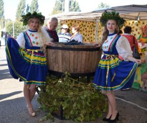 Виноградарей и виноделов чествуют на Ставрополье!