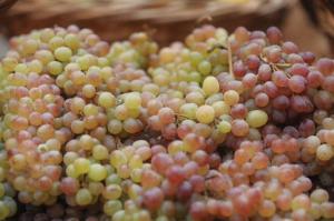 Ученые обнаружили способность винограда бороться с раковыми клетками