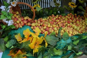 Праздник «Ставропольское яблоко» состоялся на Ставрополье