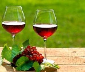 На Дону будут развивать традиции местного виноградарства и виноделия