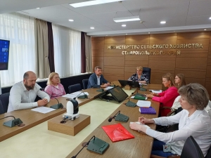 В Министерстве сельского хозяйства Ставропольского края прошло совещание по вопросу предоставления государственной поддержки на стимулирование развития виноградарства и виноделия