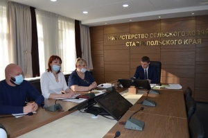 Садоводческие и виноградарские организации рассказали об итогах уборки и поделились планами на будущее