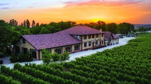 В Госдуме приняли новый закон, посвящённый развитию агротуризма