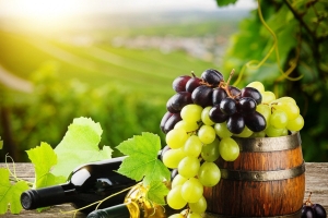 В первую винную карту вошли три марки ставропольского вина