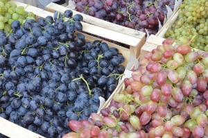 Два предприятия края вошли в двадцатку крупнейших виноградарских хозяйств России