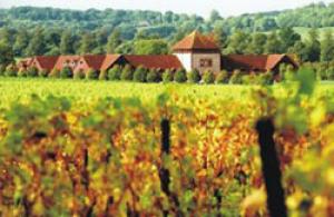 Англия установила рекорд по производству вина