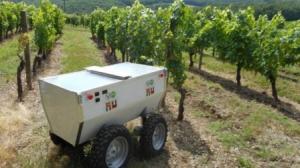 Электроника поможет следить за виноградниками