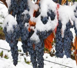 В России вырастут цены на вина из Европы