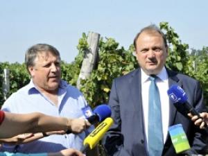 Молдова. Двойной удар винного эмбарго: отрасль в поисках экономического чуда