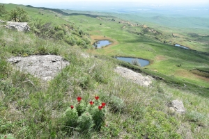 Министерство природных ресурсов и охраны окружающей среды Ставропольского края проводит соцопрос в целях развития туризма на особо охраняемых природных территориях