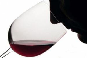 В мире профессионалов: составляющие ароматики вина