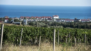 Роскачество высоко оценило перспективы Крыма как винодельческого региона