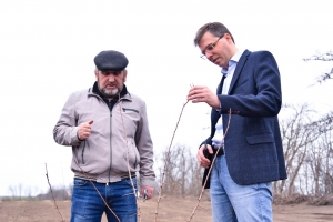 Министр сельского хозяйства Ставрополья осмотрел сады и виноградники в хозяйстве у фермера Ахмедханова