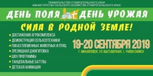 На Ставрополье с размахом пройдут «День поля» и «День урожая»