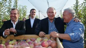 В 2018 году на Ставрополье получат 1,5 миллиона яблоневых саженцев