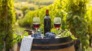 Новая винодельня появилась в Ставропольском крае