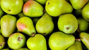 Россия приостановит ввоз груш и персиков из Китая
