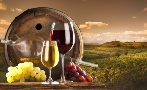 Вековой шанс. Россия побила 15-летний рекорд по продажам вина