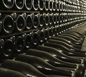 ЗС Кубани просит ускорить процесс снижения госпошлин для виноделов.