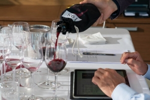 В Геленджике состоялся второй независимый винный конкурс Russian Wines Competition