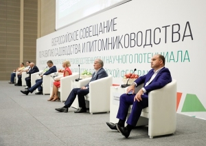 Про яблоки для профессионалов