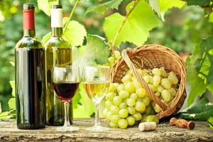 «Правовая неурегулированность»: закон в области виноградарства и виноделия требует доработки