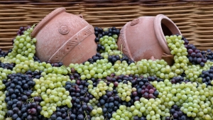 Фестиваль Молодого вина пройдет в Минеральных Водах