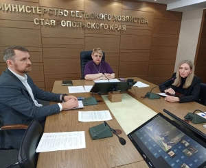 Совещание по вопросу оказания мер государственной поддержки на стимулирование развития садоводства и ягодоводства прошло в Министерстве сельского хозяйства Ставропольского края