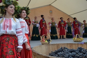 Выходят из подполья. Поможет ли новый закон ставропольским виноделам?