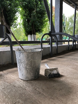 Субботник по случаю Дня Урожая прошел в Михайловске