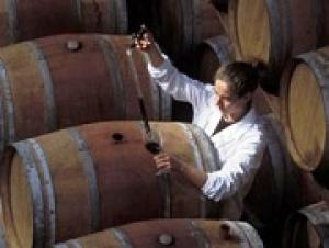 Европейские виноделы стараются вернуться к натуральным винам.