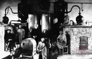 Винодельческое Ставрополье на рубеже веков: сорта, терруары, традиции
