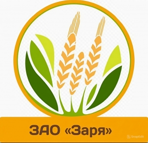 Отчет об итогах голосования на годовом заседании общего собрания акционеров ЗАО "Заря" (далее  - Общество)