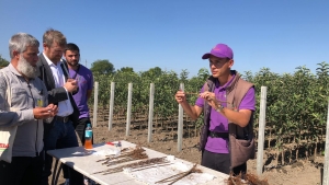 День открытых дверей состоялся в плодопитомнике &laquo;Сады Ставрополья&raquo;