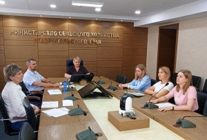 В министерстве сельского хозяйства Ставропольского края прошло совещание по вопросам государственной поддержки на стимулирование развития виноградарства и виноделия