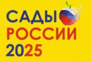 &laquo;PRO-Яблоко&raquo;: Сады России 2025