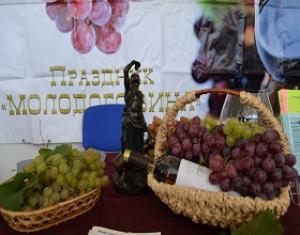 Районный праздник Молодого вина в селе Левокумское
