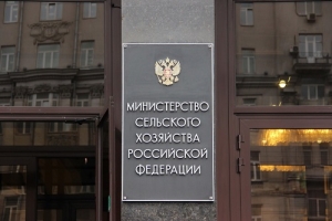 Совершенствование правового регулирования виноградарской и винодельческой отраслей