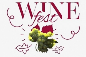 Оксана Лут рассказала о развитии отечественного виноградарства и виноделия на фестивале WineFest 2020