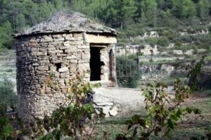 Испания: В Бажесе восстановили старинный способ изготовления вина