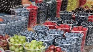 В 2026 году в РФ ожидается высокий урожай ягод